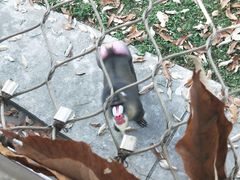 -西安秦岭野生动物园