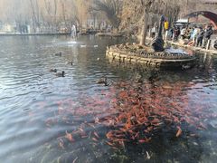 -水磨沟公园