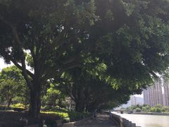 -光明港公园