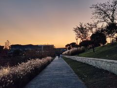 -羊山湖公园