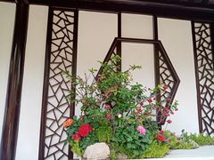 -苏州上方山国家森林公园