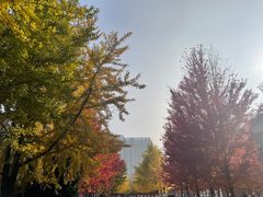 -辽宁大学(崇山校区)