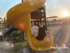 -南汇嘴观海公园