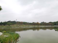 -东莞植物园