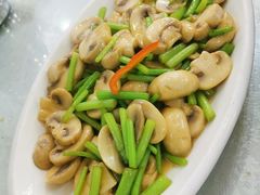 小圆菇炒蒿子秆-马尔龙新疆饭店·清真(瑞景店)