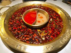 麻辣锅底-哥老官重庆美蛙鱼头(松江地中海十八哥店)