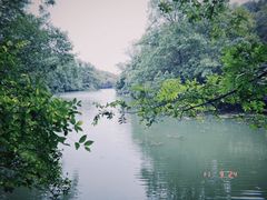 -白马涧龙池景区
