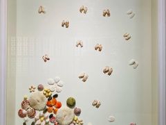 -青岛贝壳博物馆