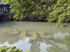 -杭州黄龙洞