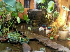 -园林美食城·本土农家菜(杨和镇店)