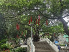 -荔湾湖公园