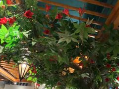 -老广酒楼(樱花店)