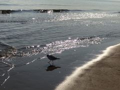 -金梦海湾浴场