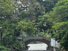 -荔湾湖公园