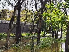 -永定河休闲森林公园