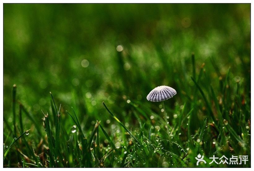 【总是嫌弃孩子做不好的人！是事情重要，还是孩子重要？】