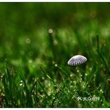 【总是嫌弃孩子做不好的人！是事情重要，还是孩子重要？】