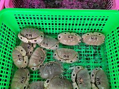 -众味海鲜大排档·活海鲜·潮汕味(南澳店)