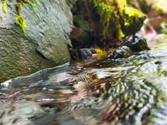 -叠溪松坪沟景区