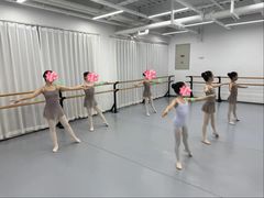 -中央芭蕾舞团·中芭艺蕾(酒仙桥明星校区)