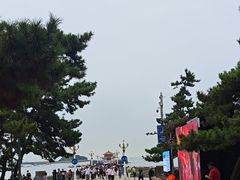 -栈桥景区