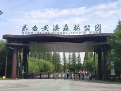 -黄海国家森林公园