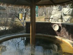 -大连金石滩绿发温泉假日酒店