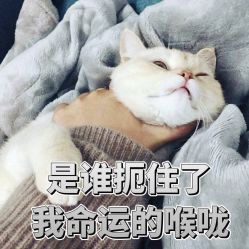 -思妍丽美发沙龙