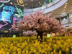 -当当书店(国泰广场店)