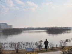 -丁香湖公园