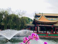 -宝墨园景区