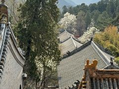-潭柘寺景区