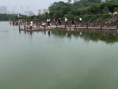 -广西壮族自治区药用植物园