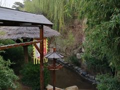 -徂徕山森林康养度假谷温泉