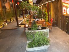 -三道苗苗鱼·美蛙黄辣丁(八里店)
