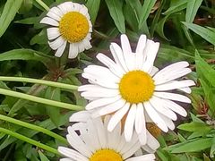 -西湖风景区-江洋畈生态公园