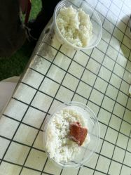 -阿菠萝小猪农场·萌宠乐园·亲子游·研学