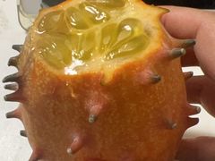 -厦门邮轮中心厦鼓码头(轮渡站)
