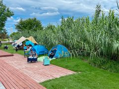 -上海山野camping·户外天幕烧烤·团建拓展营地