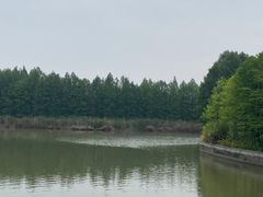 -苏州太湖国家湿地公园