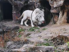 -杭州动物园