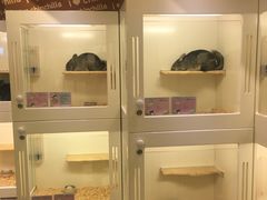 -龙猫仔乐园(惠福东路店)