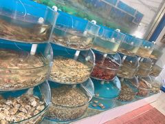 -同道蒸汽海鲜烧烤自助(刘庄夜市店)