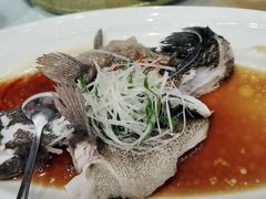 -老洋房花园饭店(绍兴路店)