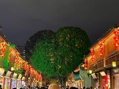 -三坊七巷历史文化街区