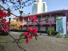 -上海交通大学董浩云航运博物馆