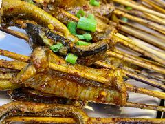 鳝鱼-晓靖轩烧烤(沙河风情店)
