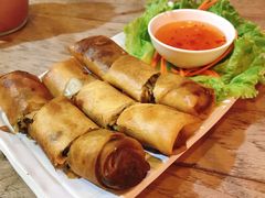 炸春卷-Kat's Kitchen