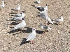 -捞渔河湿地公园