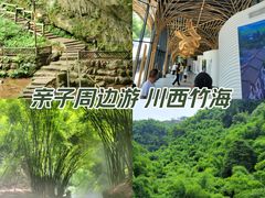 -川西竹海景区